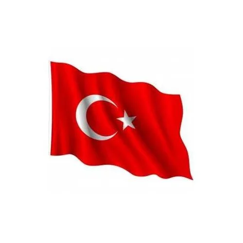 "Bayrağımız" Sanat ve Müzik Etkinliği