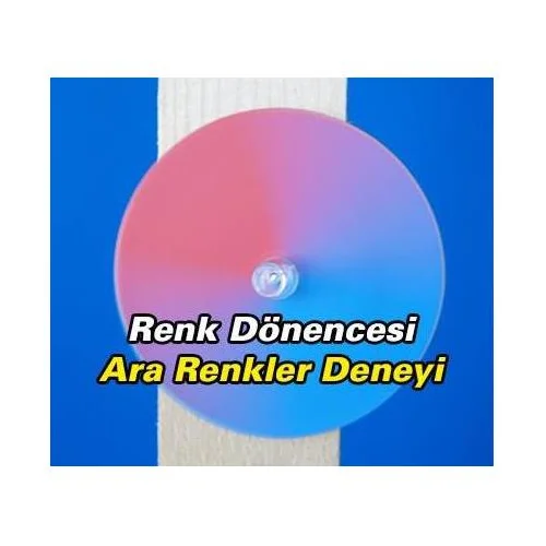 Ara Renkleri Dönence İle Bulalım Deneyi